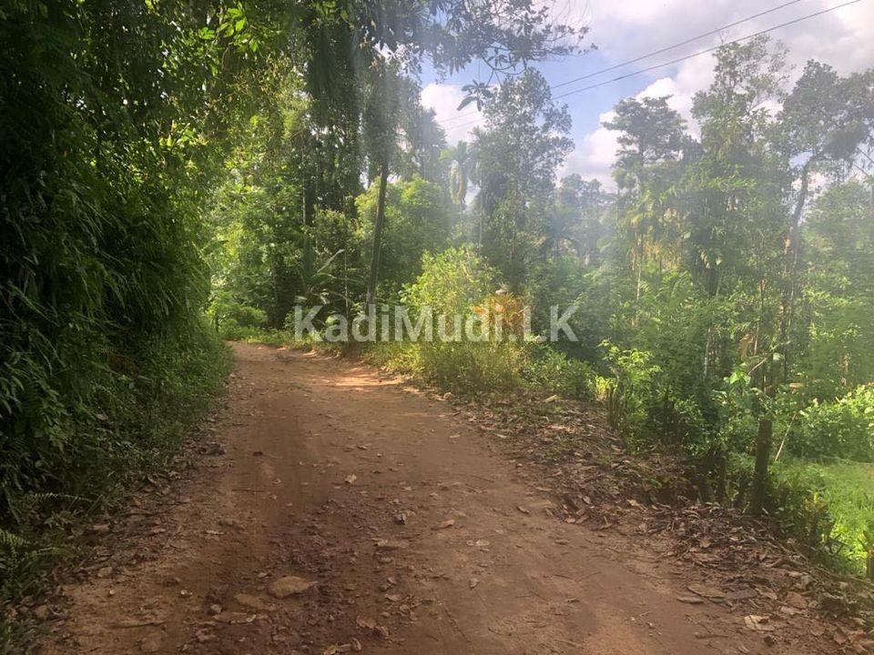 Rubber land for sale in deraniyagala