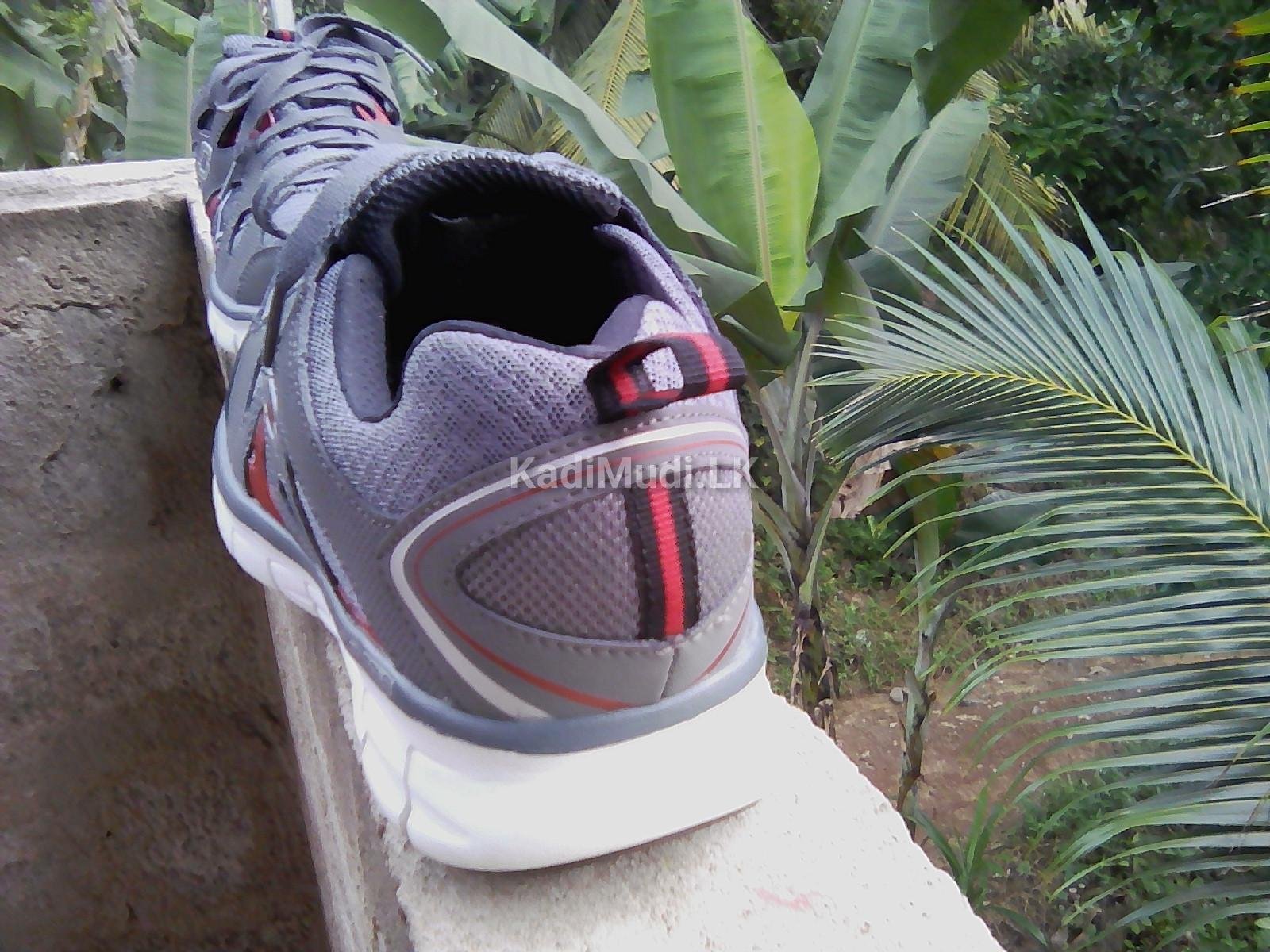 Sketchers sports shoe