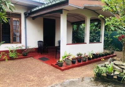 326394612_5672444252877842_3164743686063934944_n-1