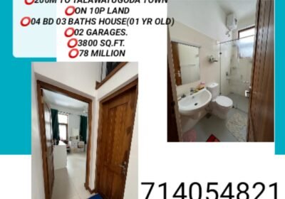 socialpost_20230312122151