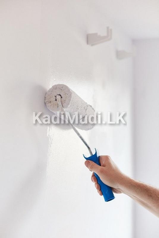 Painting Service Nugegoda