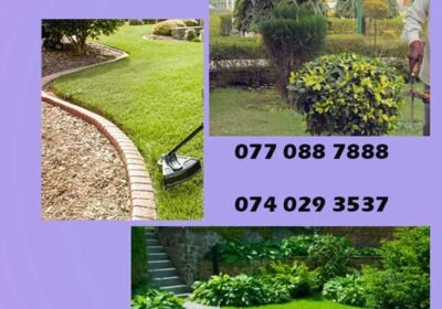 garden-maintenance-Colombo