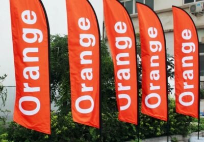 WhatsApp-Image-2022-08-18-at-4.56.16-PM-2