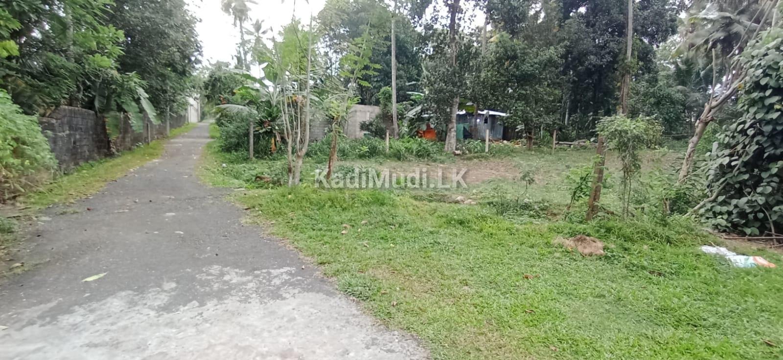 Land for Sale in Homagama. හෝමාගම පර්චස් 10ක අගනා