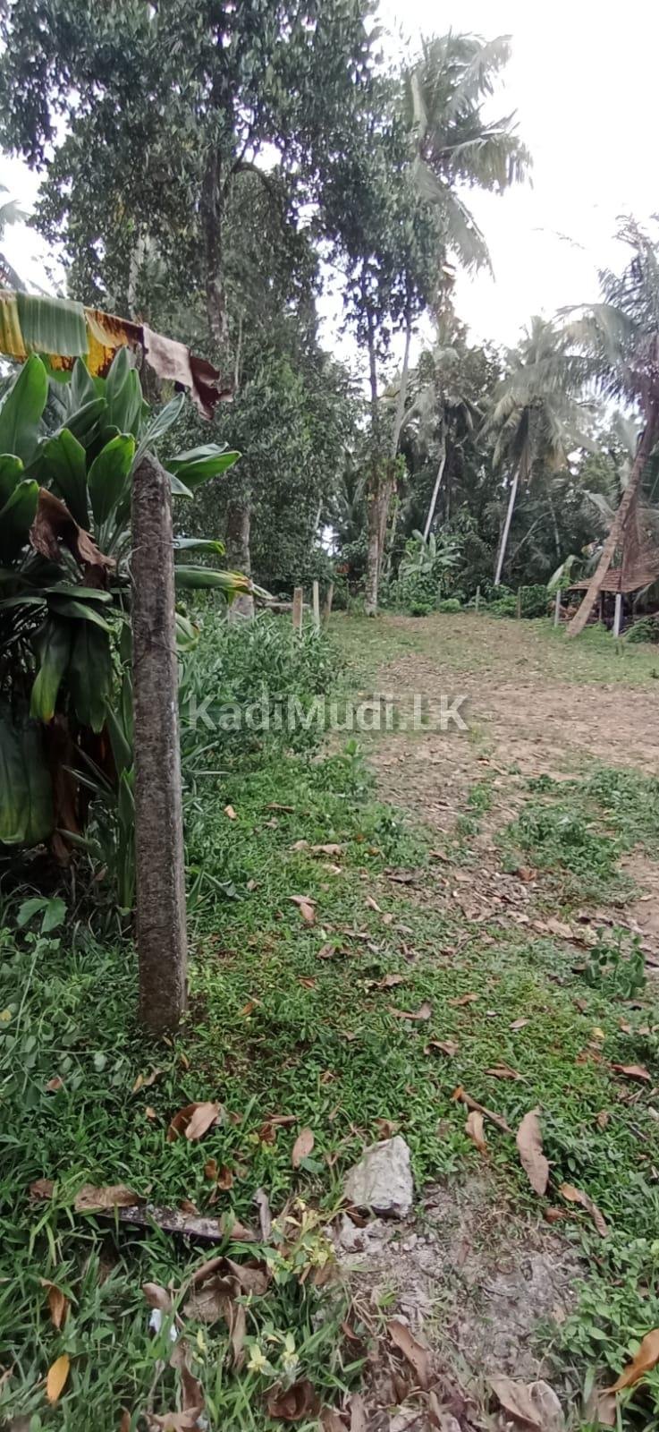Land for Sale in Homagama. හෝමාගම පර්චස් 10ක අගනා