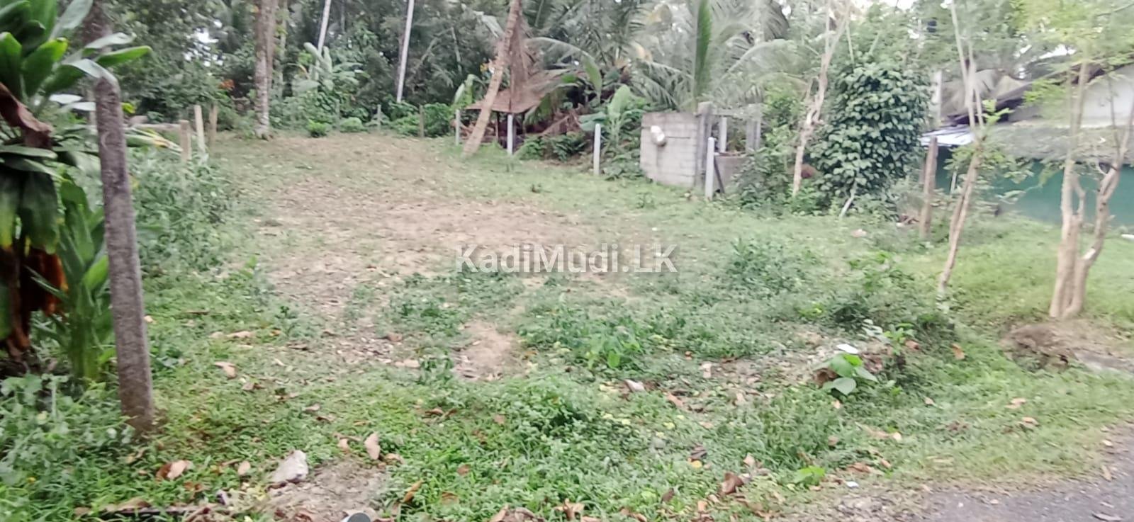 Land for Sale in Homagama. හෝමාගම පර්චස් 10ක අගනා