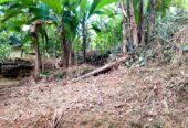 Land for Sale Palolpitiya Matara