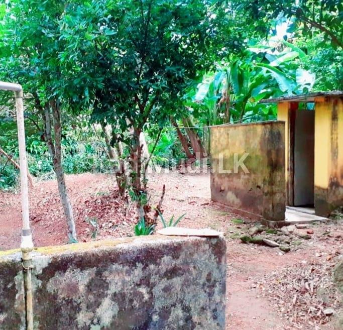 Land for Sale Palolpitiya Matara