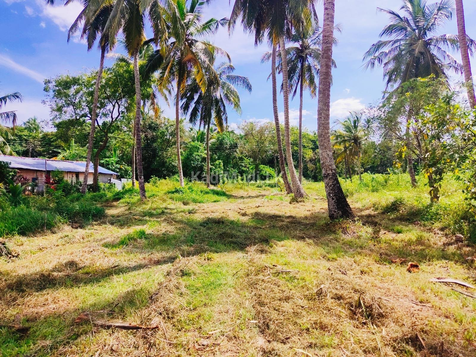 Land For Sale In MARAWILA