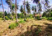 Land For Sale In MARAWILA