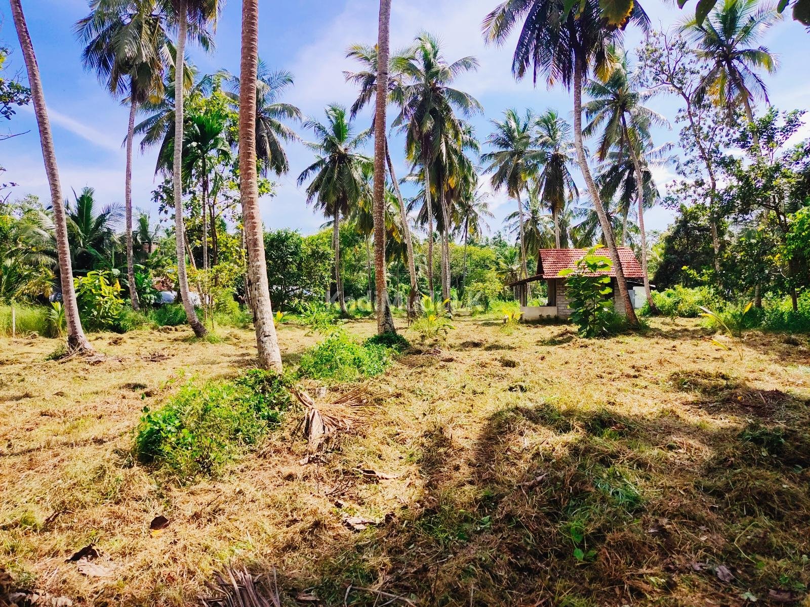 Land For Sale In MARAWILA