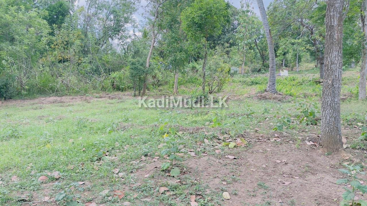 Land sale in Tangalle