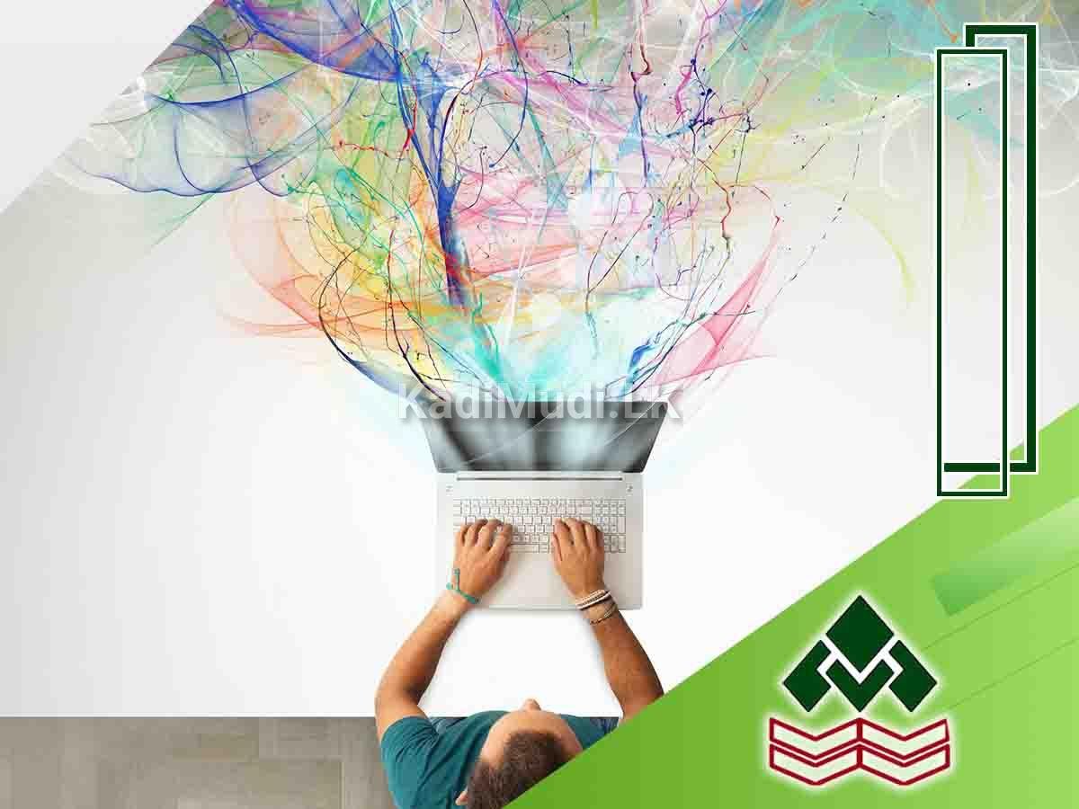 Web Design & Development