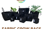 Fabric Grow Bags