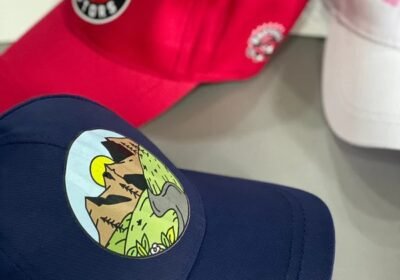 IMG_3088-ezgif.com-webp-to-jpg-converter