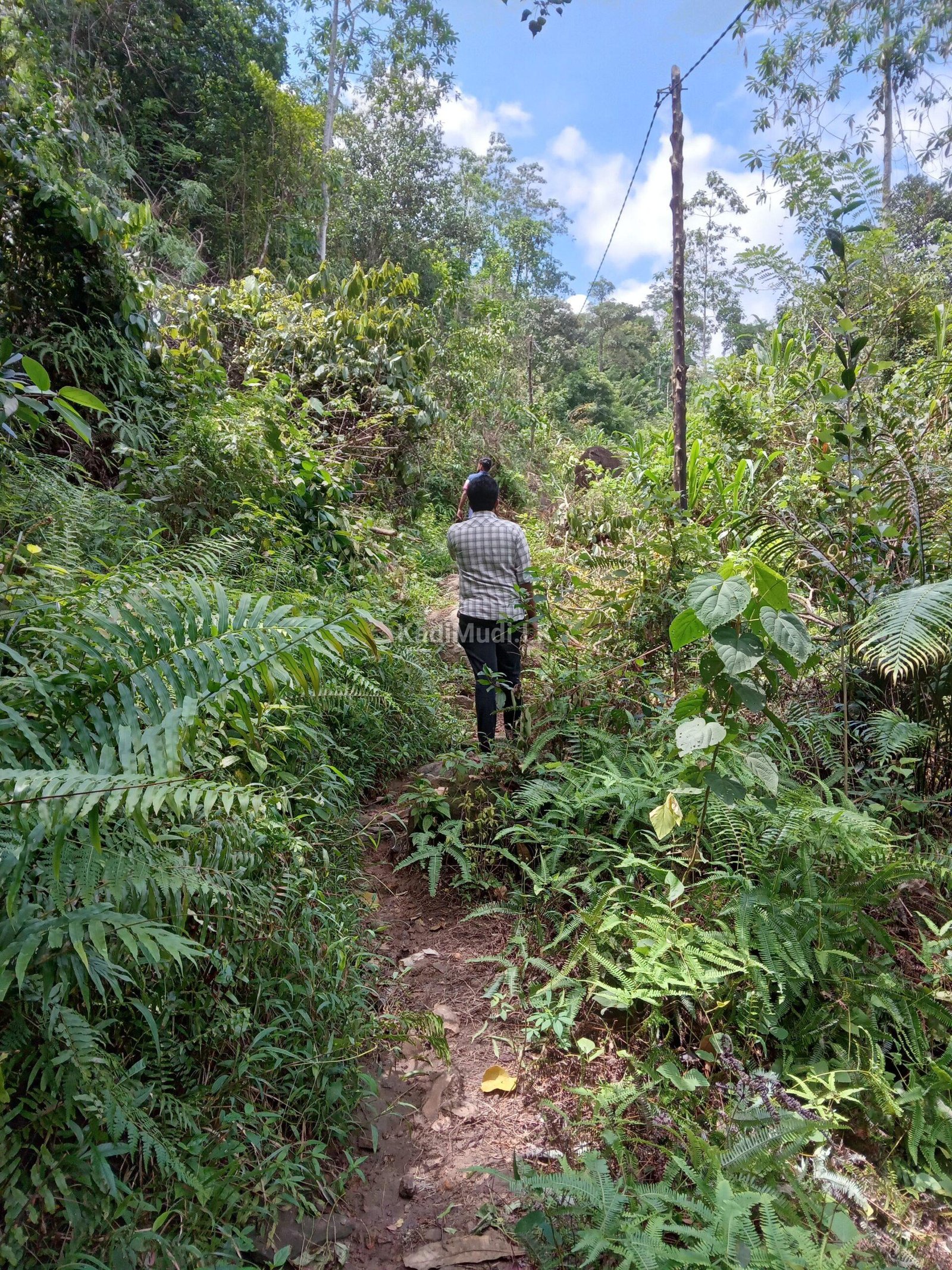 Invest in Rewarding Business Ventures in Sri Lanka