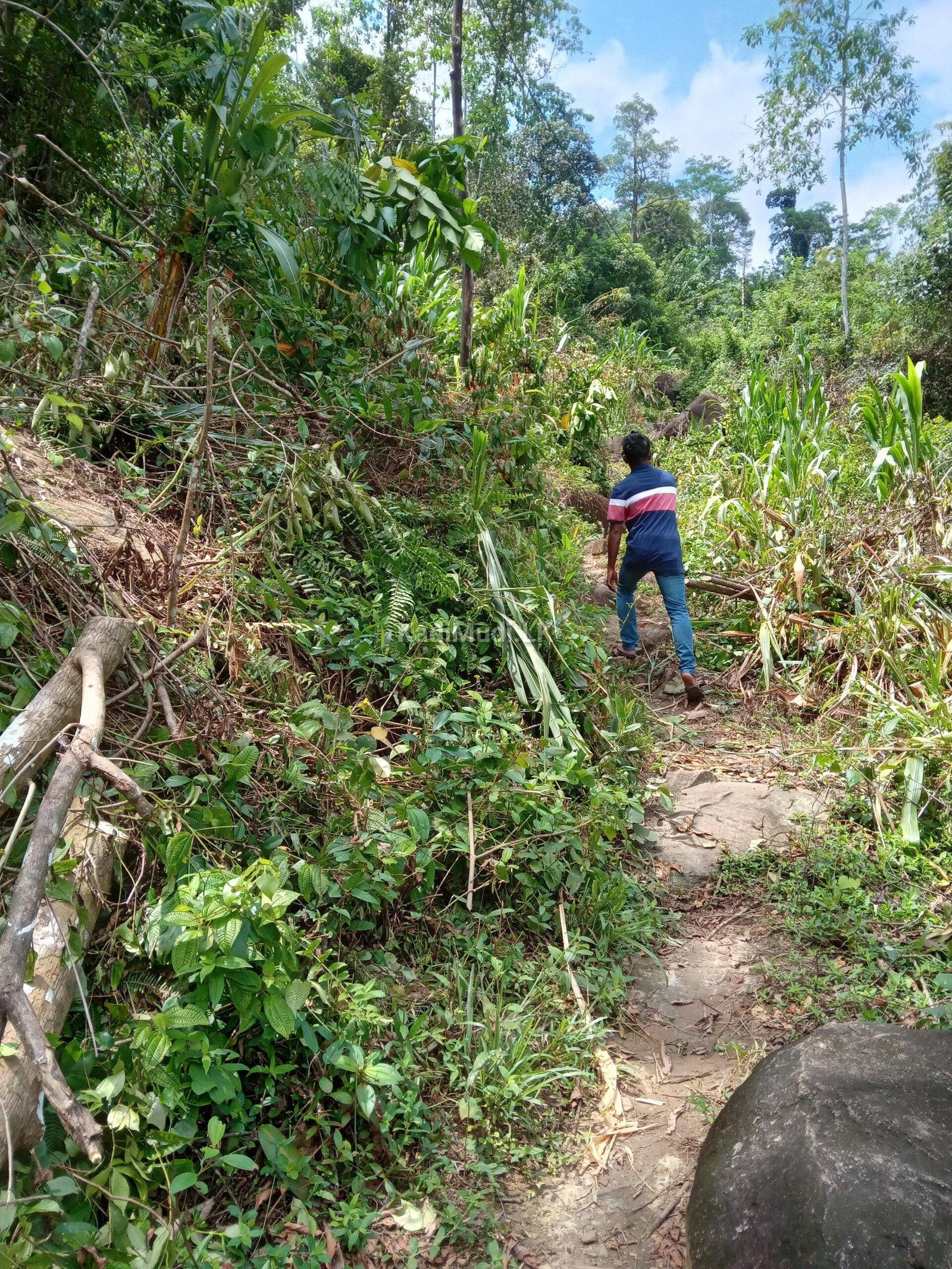 Invest in Rewarding Business Ventures in Sri Lanka