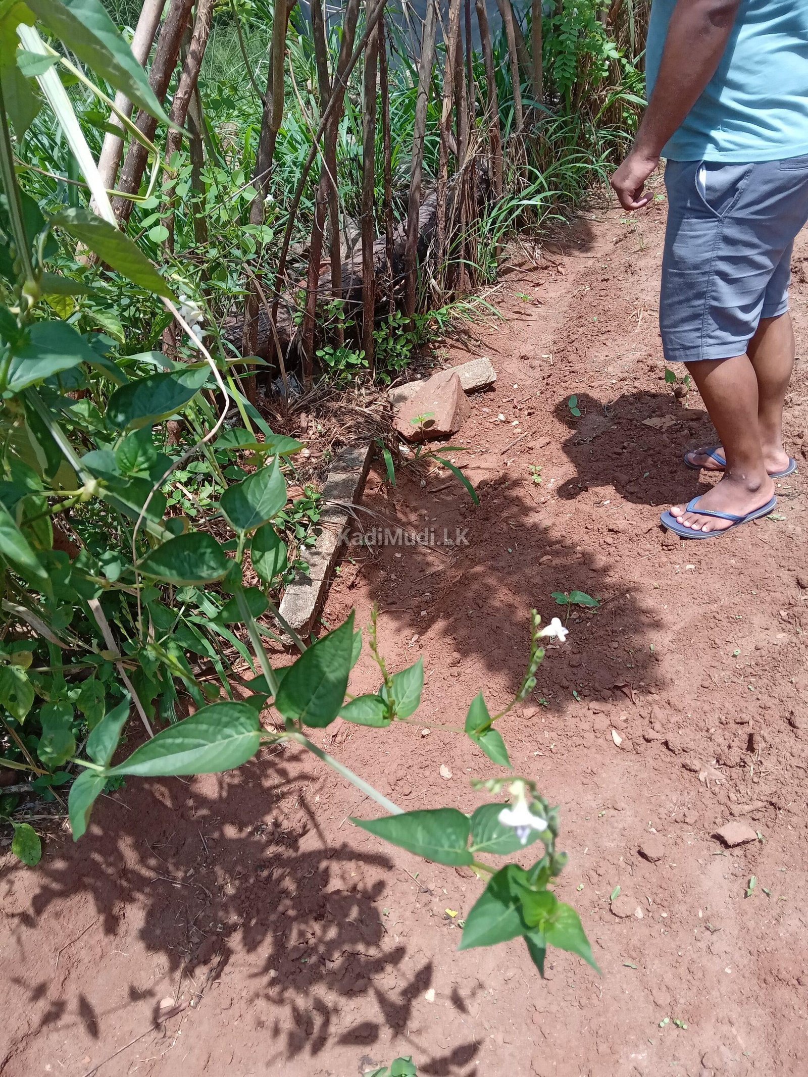 Opportunity to Invest in a Business at Nalanda