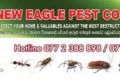 New Eagle Pest Control