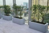 Commercial-Grade Fiberglass Planters in Sri Lanka