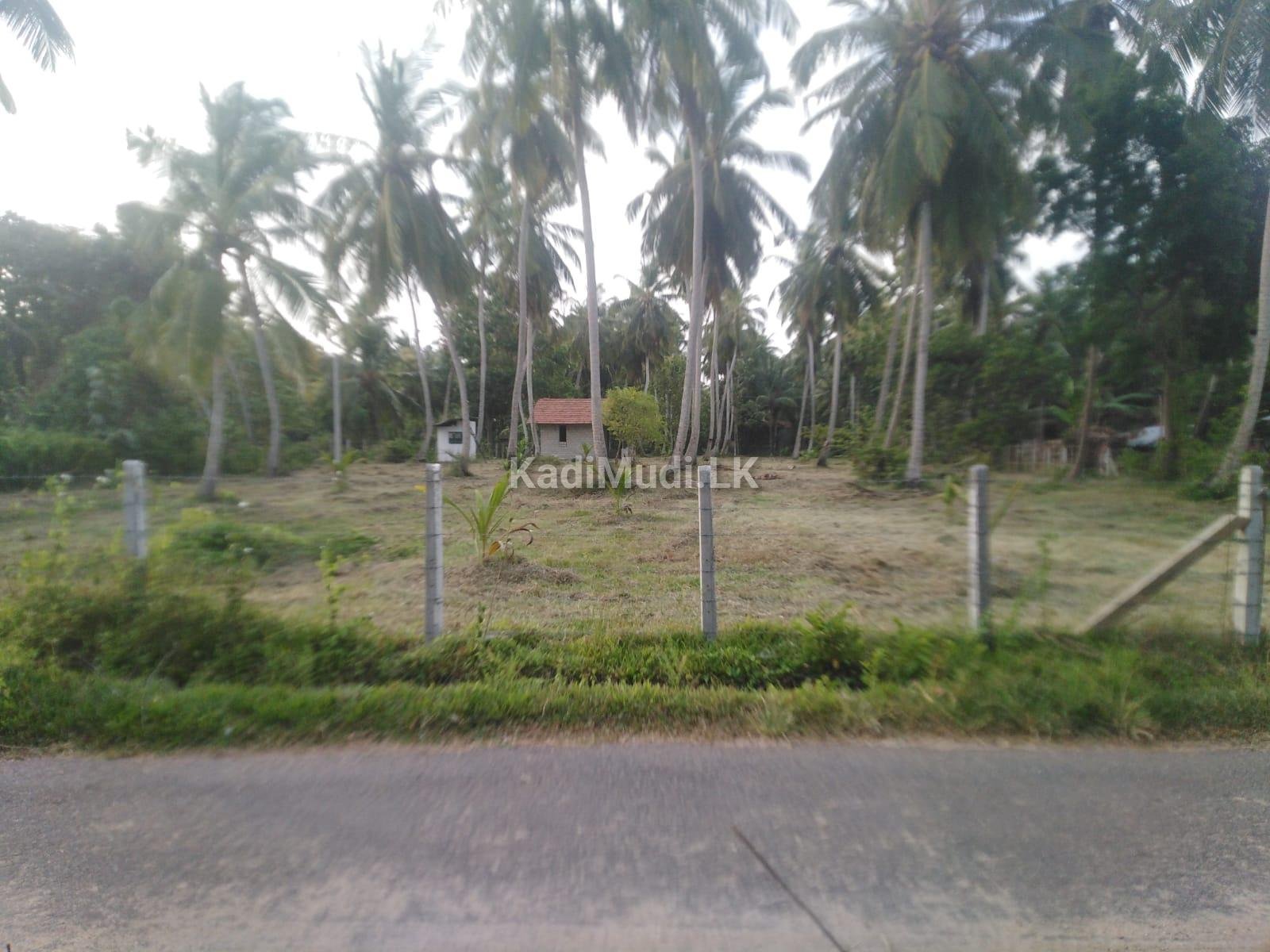 Land for sale in Marawila