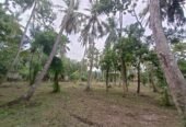 Land for sale in Marawila