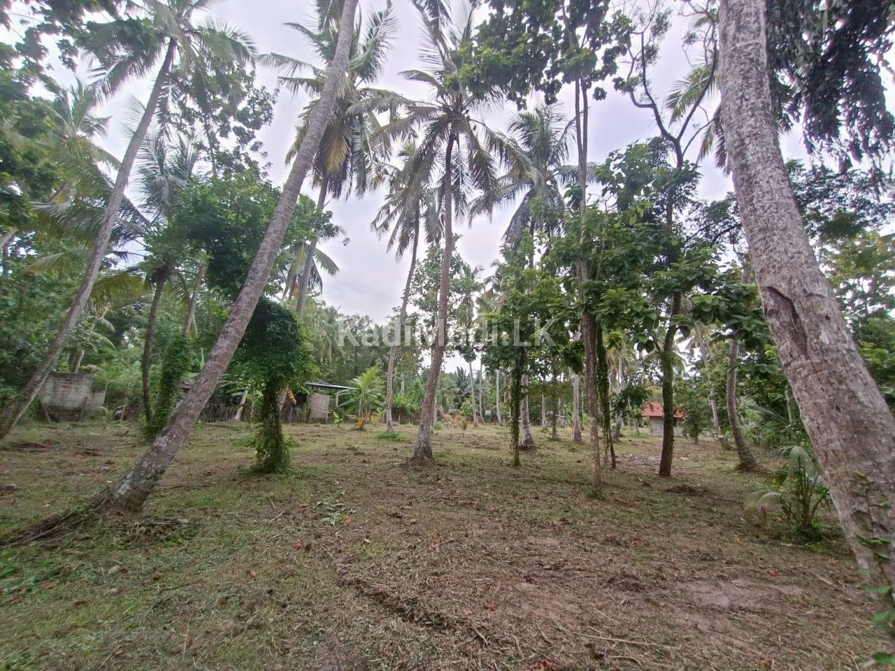 Land for sale in Marawila
