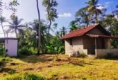 Land for sale in Marawila