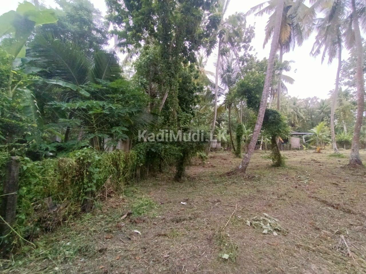 Land for sale in Marawila